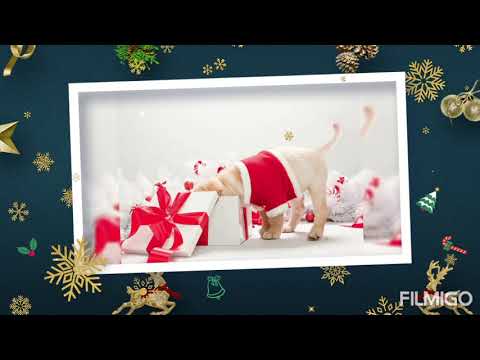 TU SCENDI DALLE STELLE _ Versione Organetto_ Leri&Licya