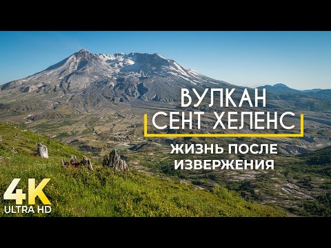 Вулкан Сент-Хеленс - жизнь после извержения