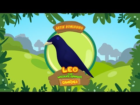 Witness21  2019 10 12