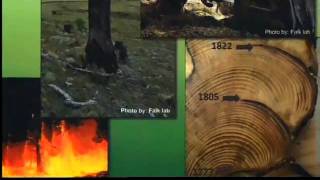 preview picture of video 'Fire outlook high at Valles Caldera'