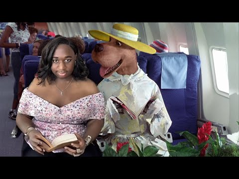 Part 6 | my favorite terri joe live moments