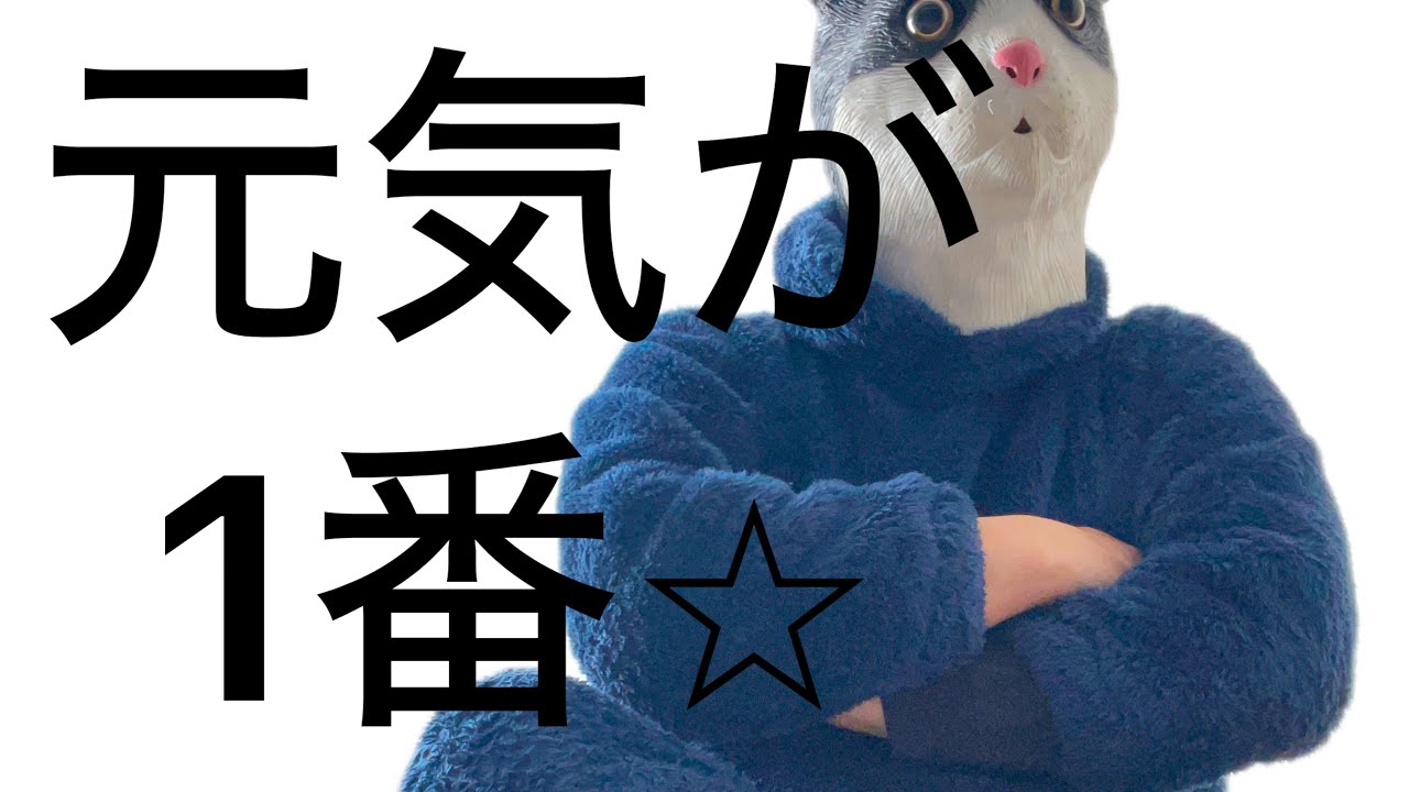 悩んでるのがバカバカしく感じて少しだけ元気になる動画