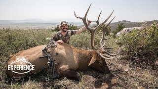 Colorado Archery Elk Hunting Experience