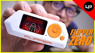 Flipper Zero - DarkFlippers / Unleashed Firmware &amp; First Impression