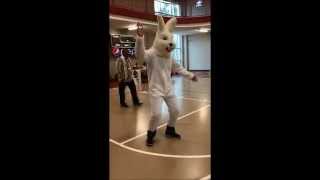 preview picture of video 'Bunny Hops into Kidabaloo Tuscaloosa and Surprises All'