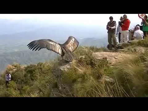Só a natureza e os animais nos proporcionam momentos como esse inesquecíveis e surreais