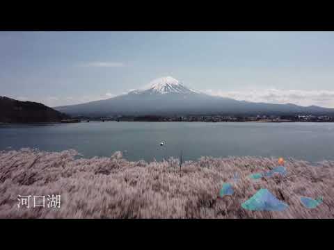 富士五湖ドローン紀行　Mt.Fuji tourism. The drone flies in Fuji Five Lakes.