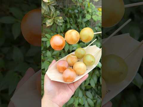 コロコロ回転しながら焼き上げる3色だんご【まるもち家】