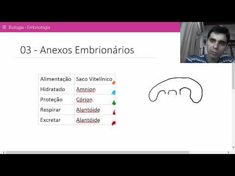 Embriologia 03 - Anexos Embrionários