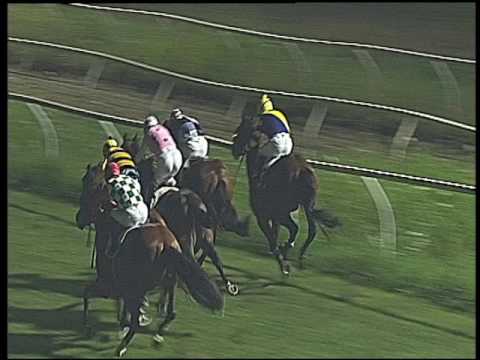 Galoppo 16/07/2016 - 3° corsa