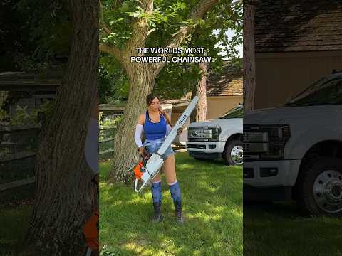 The worlds most powerful chainsaw Stihl MS881