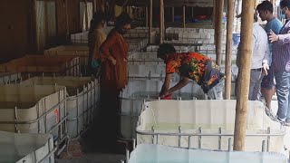 রঙ্গিন মাছের পোনা উৎপাদন [Aquarium Fish Breeding Techniques]
