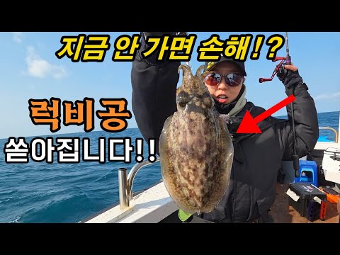 Catch three squid and you'll be able to retrieve the scholar! Run now!! (Beginner's Top Tip)