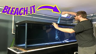 How To Disinfect A Contaminated Fish Tank With Deadly Aquarium Diseases