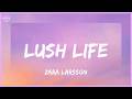 Zara Larsson - Lush Life (Lyrics)