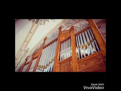 Concerto de Natal Catedral de CURITIBA-Paraná