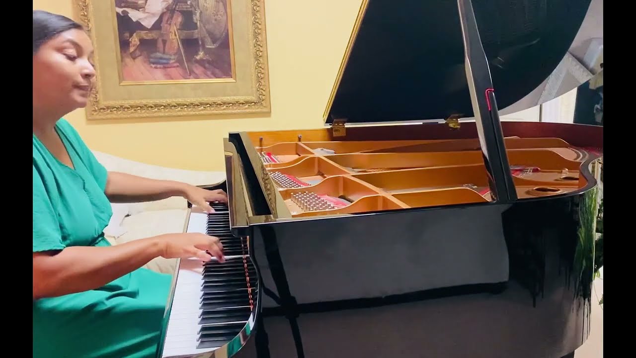 Promotional video thumbnail 7 for Pianist, Harpist and Singer