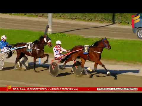 IV Corsa del 27 dicembre 2022 - 2 Anni - Metri 1600