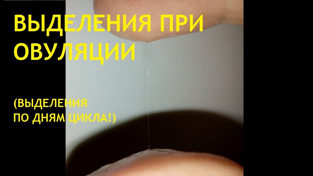 🔔👆Выделения при овуляции (слизь во время овуляции). Расчёт лучшего времени для планирования!