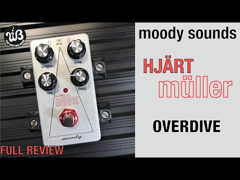 Hjärt Müller Overdrive image 3
