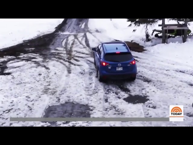 Забота в мире животных