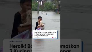 Download lagu Bocah ini selamatkan 3 kucing yang terdampar di tengah banjir🥺❤ mp3
