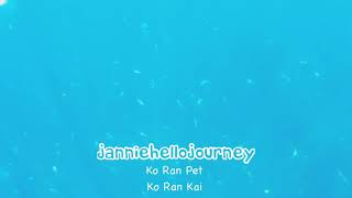 preview picture of video 'Diving Trip at Chumporn, Koh Ran Ped & Koh Ran Kai. By Janniehello'