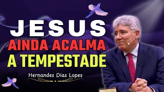 Jesus Está no Controle: Acalme a Tempestade e Vença o Medo | Hernandes Dias Lopes