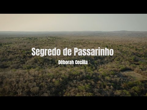 Segredo De Passarinho - Déborah Cecília