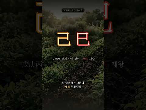 볕 좋은 텃밭 | 기사(己巳) 일주