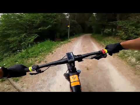 Home Trail Pitztal - Conway Xyron S427