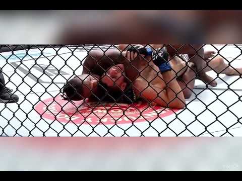 Terrance mckinney submits fares ziam