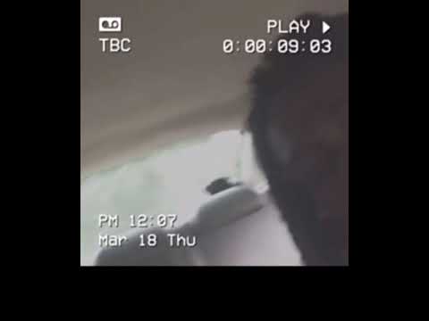 Boonie Buckey x Right or wrong (official video )