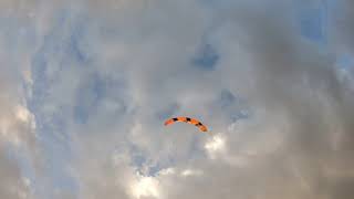 Spiderkites Smithi Pro Training