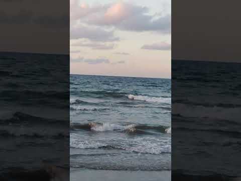 Dawar_dawar in the Beach🌊⛱️🌴🤗💕💕💕