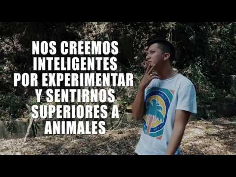 Amazonas (Letra) - Wilmar Ayala