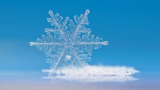 MRAZ ❄️ -   MOMČILO TEŠIĆ #pesmezadecu #moimcilotesic #decijepesme  #balkankids #škola #forkids