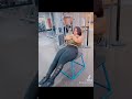 THICK THIGHS Fyi Thickness Motivation Fypシ Goodvibes Explorer Workoutmotivation Fitmom