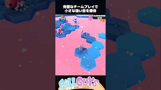完璧なチームプレイで強い島を確保！【FallGuys/フォールガイズ】