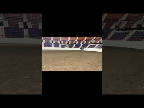 youtube preview