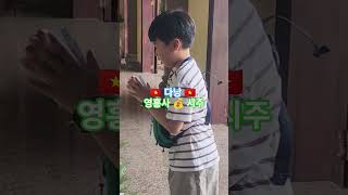 ?? 다낭 영흥사 대웅전 시주하기