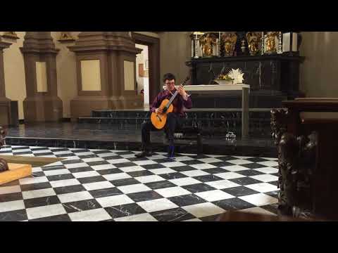 Vladislav Fedorov   J S Bach  Suite e moll BWV 996   Allemande