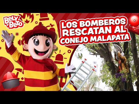Los Bomberos Rescatan al Conejo Malapata - Bely y Beto
