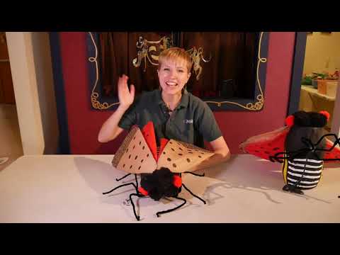 How to Make a Model Spotted Lanternfly