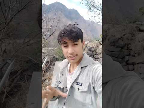 Mohd Omer Ik aadmi ke paas teen gode the 