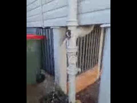 Tree Root Drain Blockage - Banyo