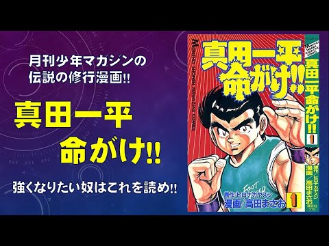 【漫画レビュー】真田一平命がけ(原作／ヒロナカヤスシ先生　漫画／高田まさお先生）