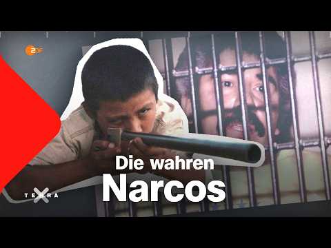 Video Thumbnail: Drogen in Mexiko - Die Geschichte der Narcos | Terra X