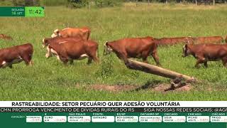 Miniatura do vídeo