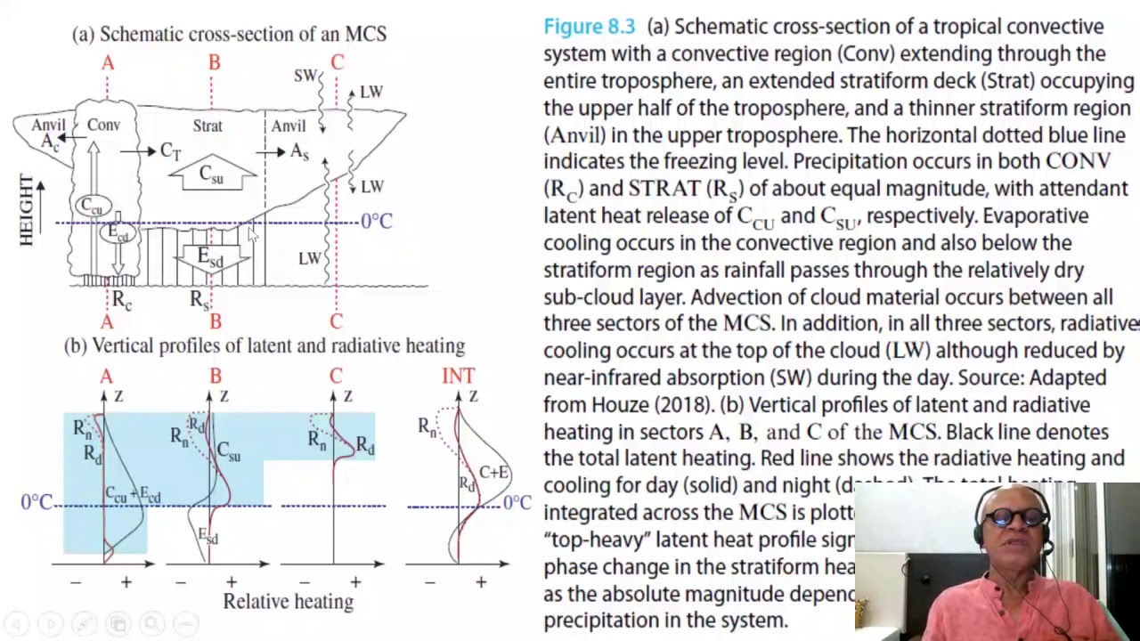 3    Detailed Structure of a Mesoscale Convective System